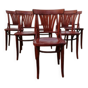 Lot de 6 chaises bistrot vintage en bois courbé