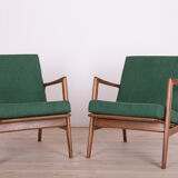 Armchairs 300-139 by Swarzędzka Factory, 1960s, Set of 2