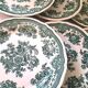 9 Villeroy and Boch dessert plates