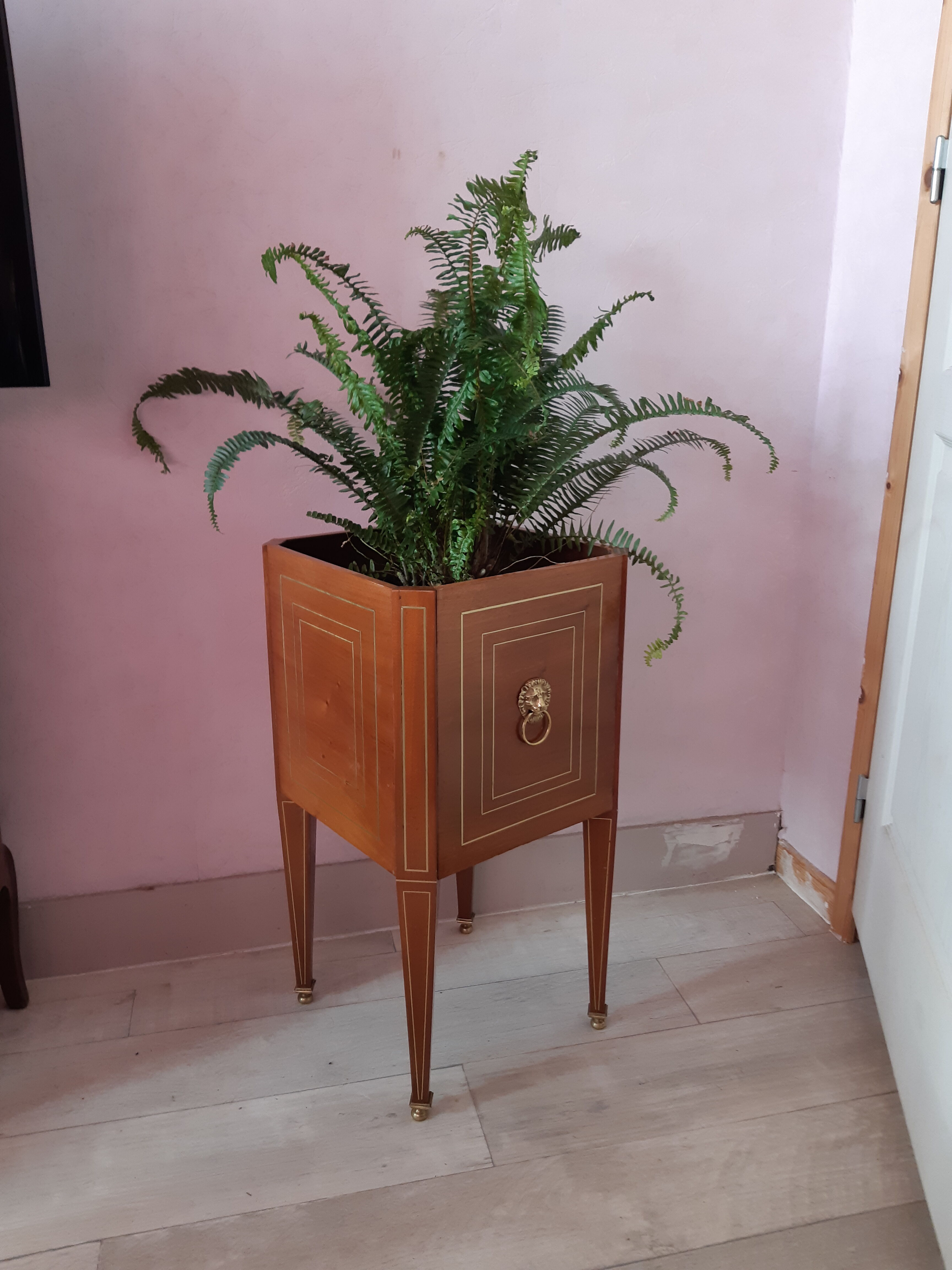 Nineteenth mahogany planter