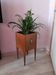 Nineteenth mahogany planter