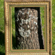 Frame carved wood and gilded stucco