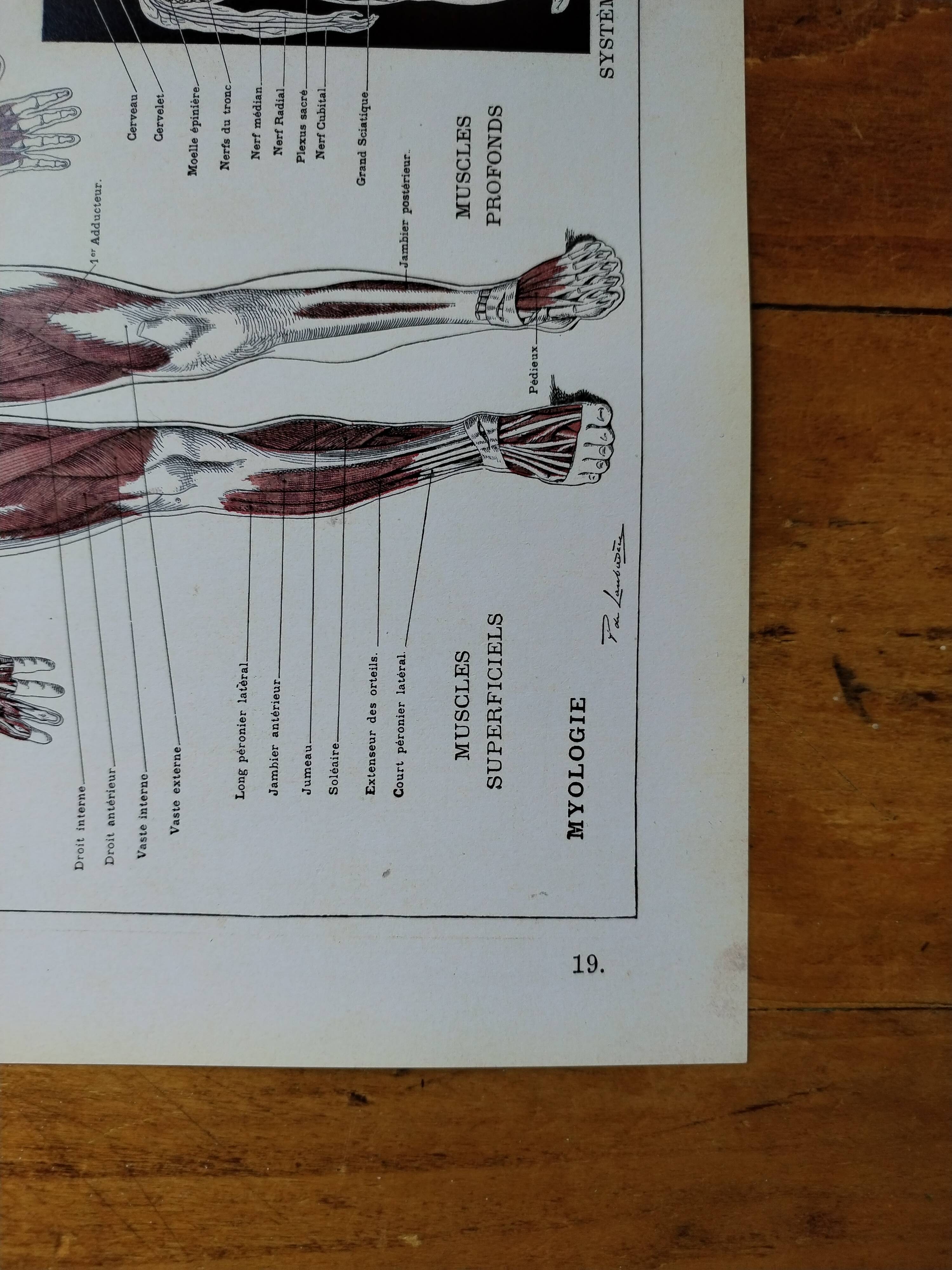 Original lithograph on Man