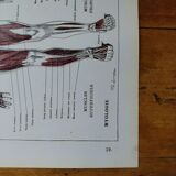 Original lithograph on Man