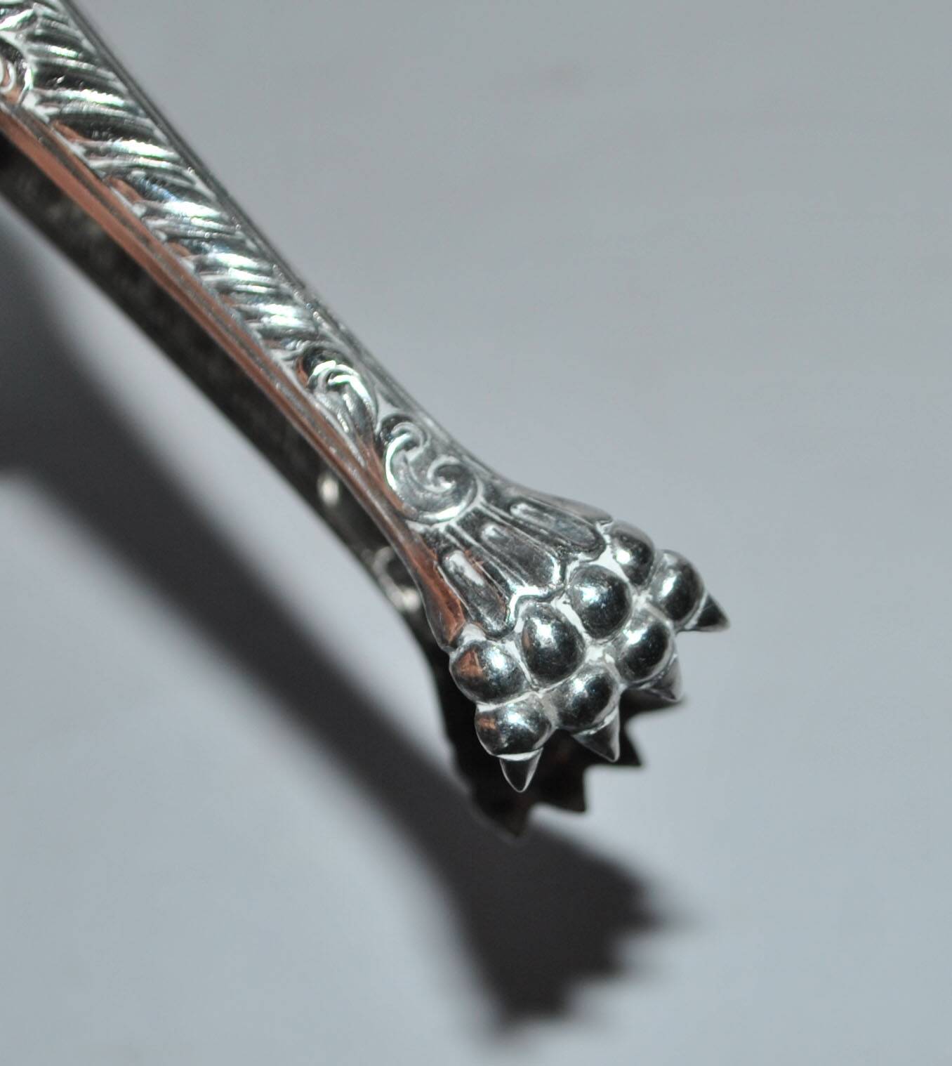 Rocaille sugar tongs in silver metal with lion claw medallion