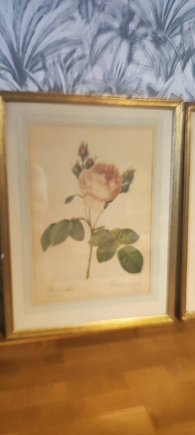 Redouté executive trio