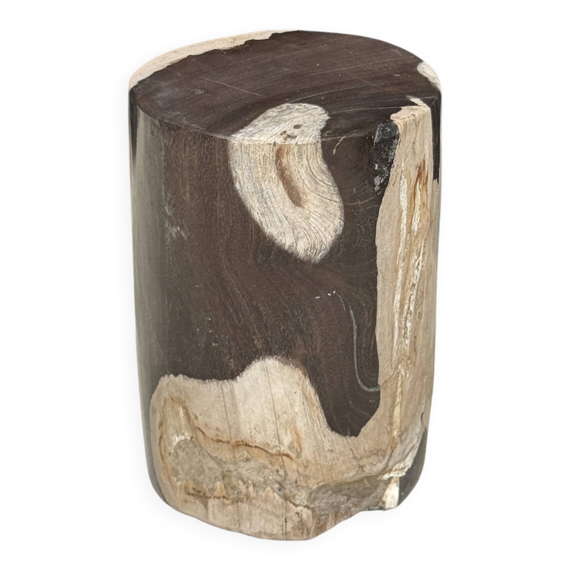 Small side table in black and white petrified wood H28 D18