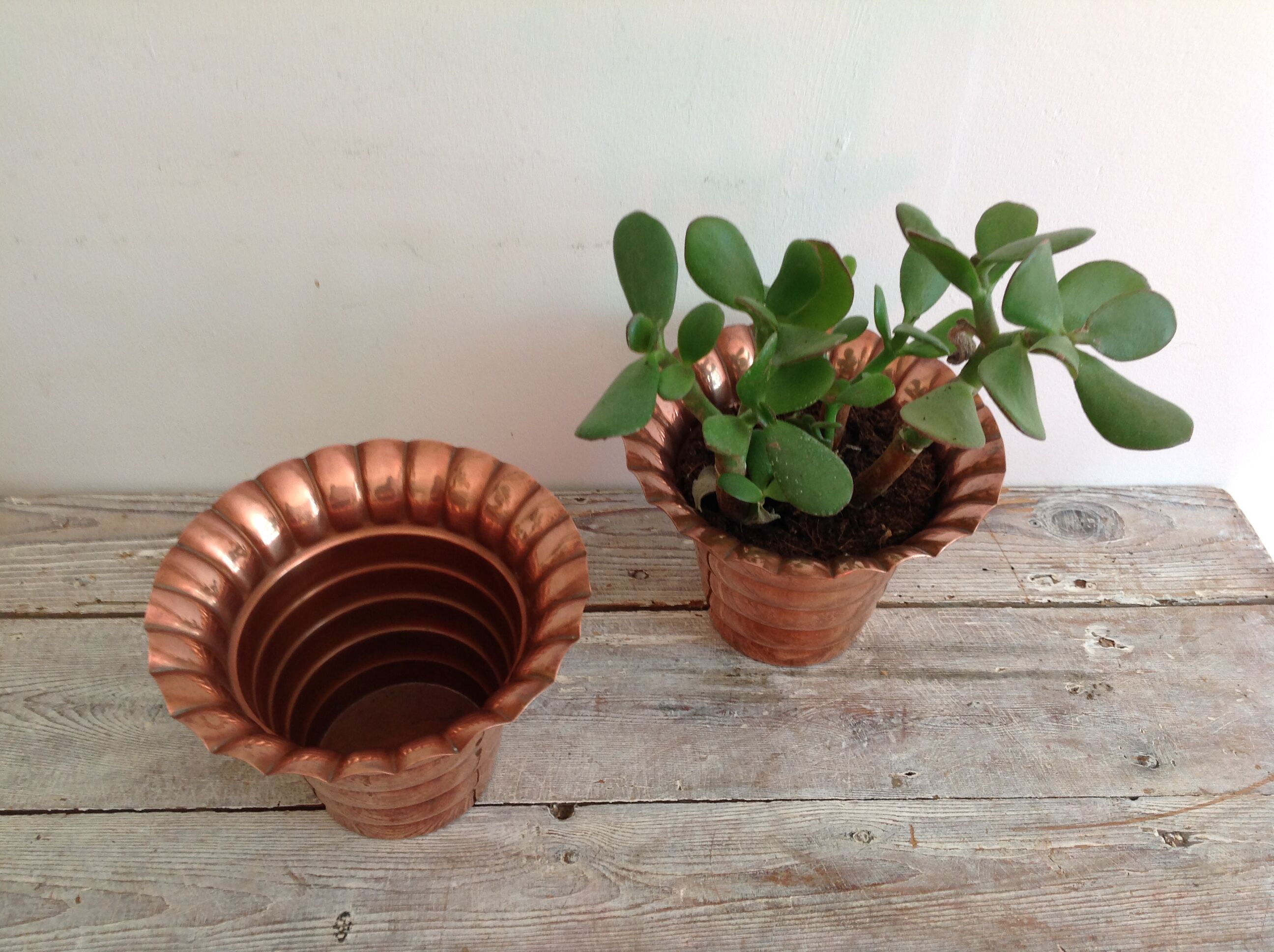 Duo of cache copper pots