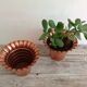 Duo of cache copper pots