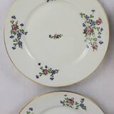 6 flat plates with cornflower decoration