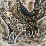 Plat le Vieux Moulin in Vallauris, Perot, Malarmey, 1950s-1960s