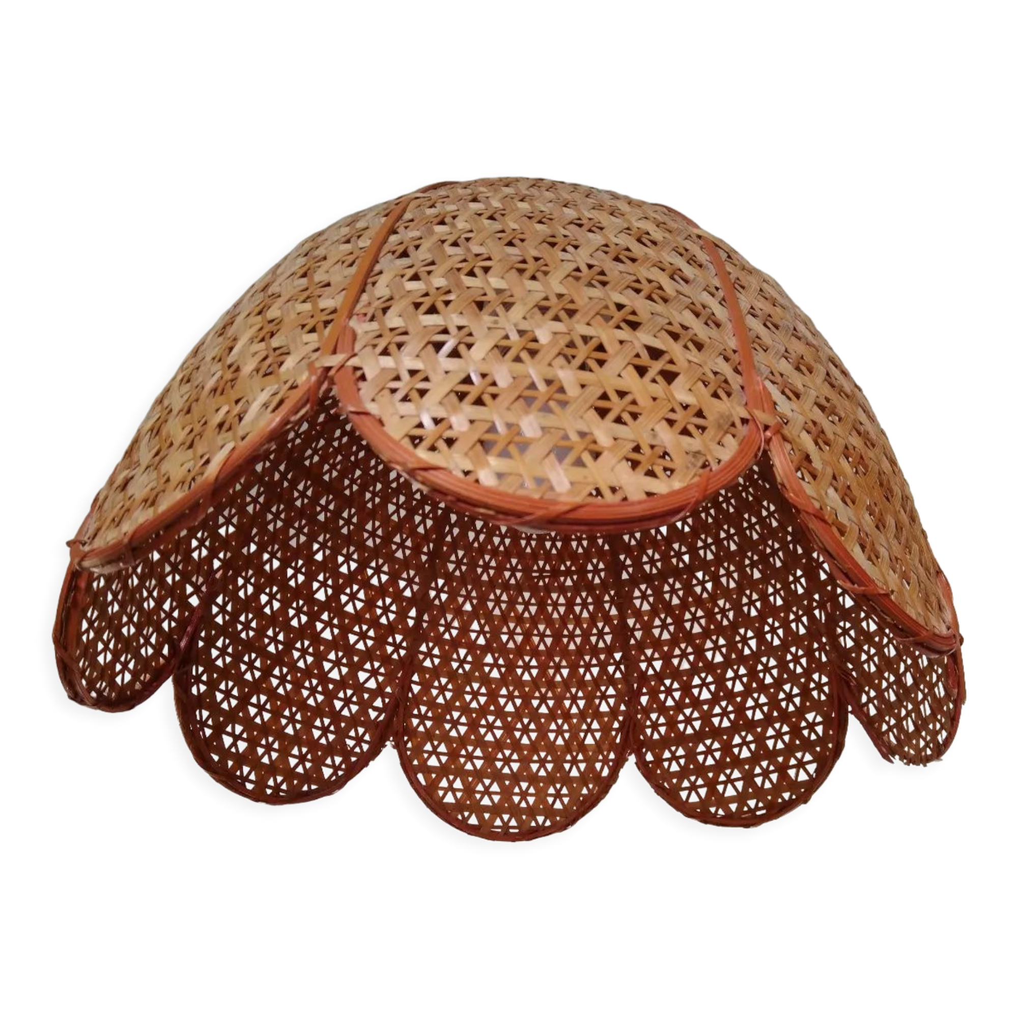 Rattan flower suspension