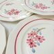 6 flat plates St-Amand Ceranord