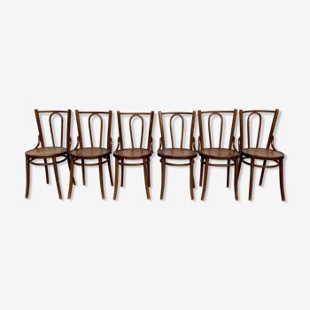 Series of 6 chairs bistrot wood curve art nouveau decor nenuphar dlg tuna and fischel kohn
