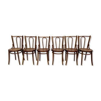 Serie de 6 chaises bistrot bois courbe art nouveau decor nenuphar dlg thonet fischel kohn