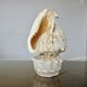 Lampe coquillage "cassis cornita" années 70