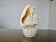 Lampe coquillage "cassis cornita" années 70