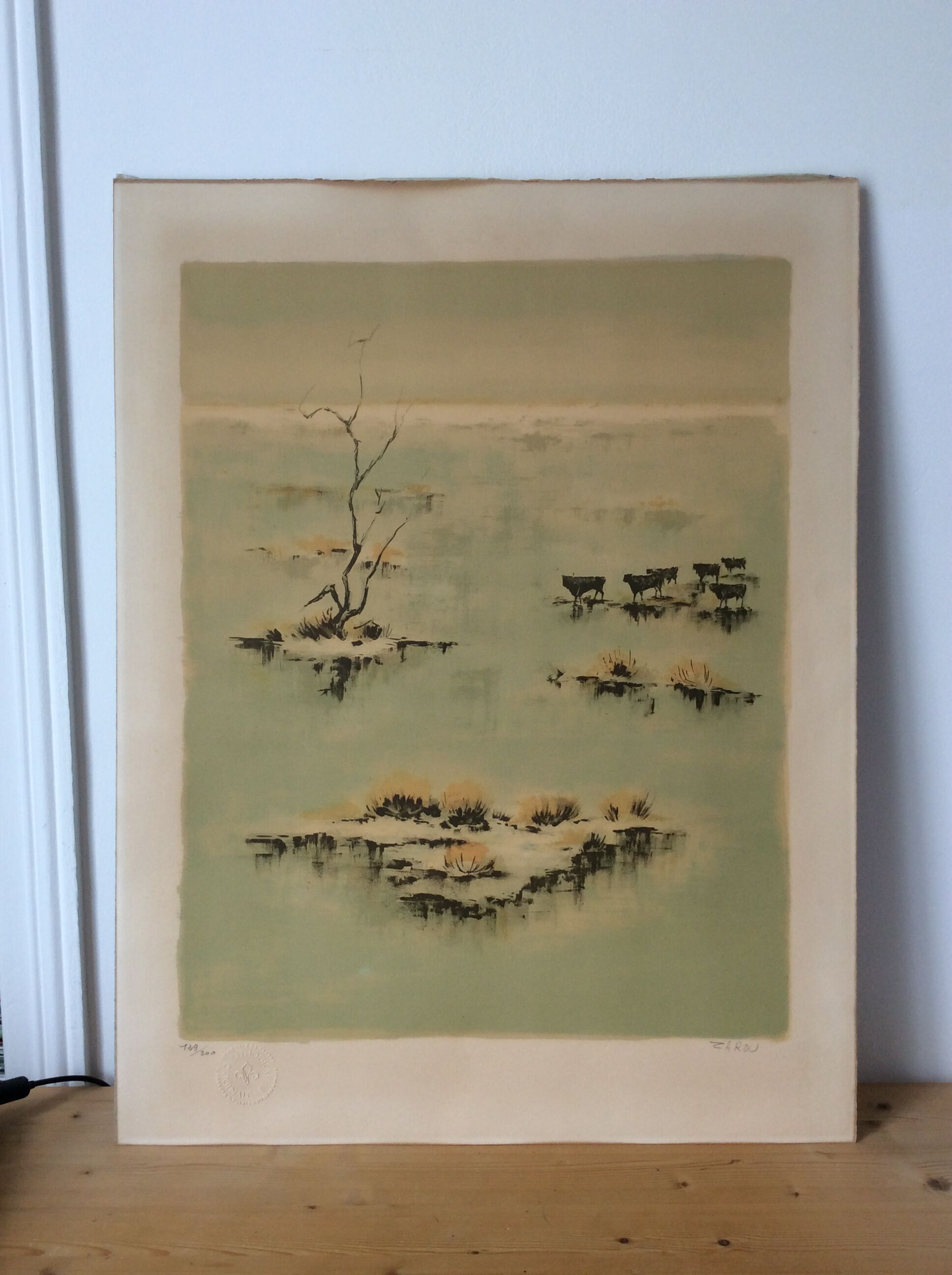 Camargue Landscape Illustration