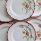 6 vintage ironstone dinner plates Salins model Pierrette