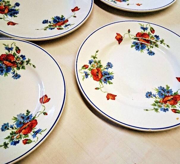 6 flat plates from Salins les Bains, "Poppies" pattern, in very good condition