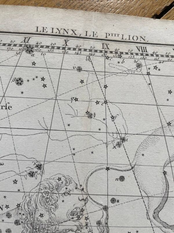 Le Lynx et le Petit Lyon - Planche d’astrologie 1795
