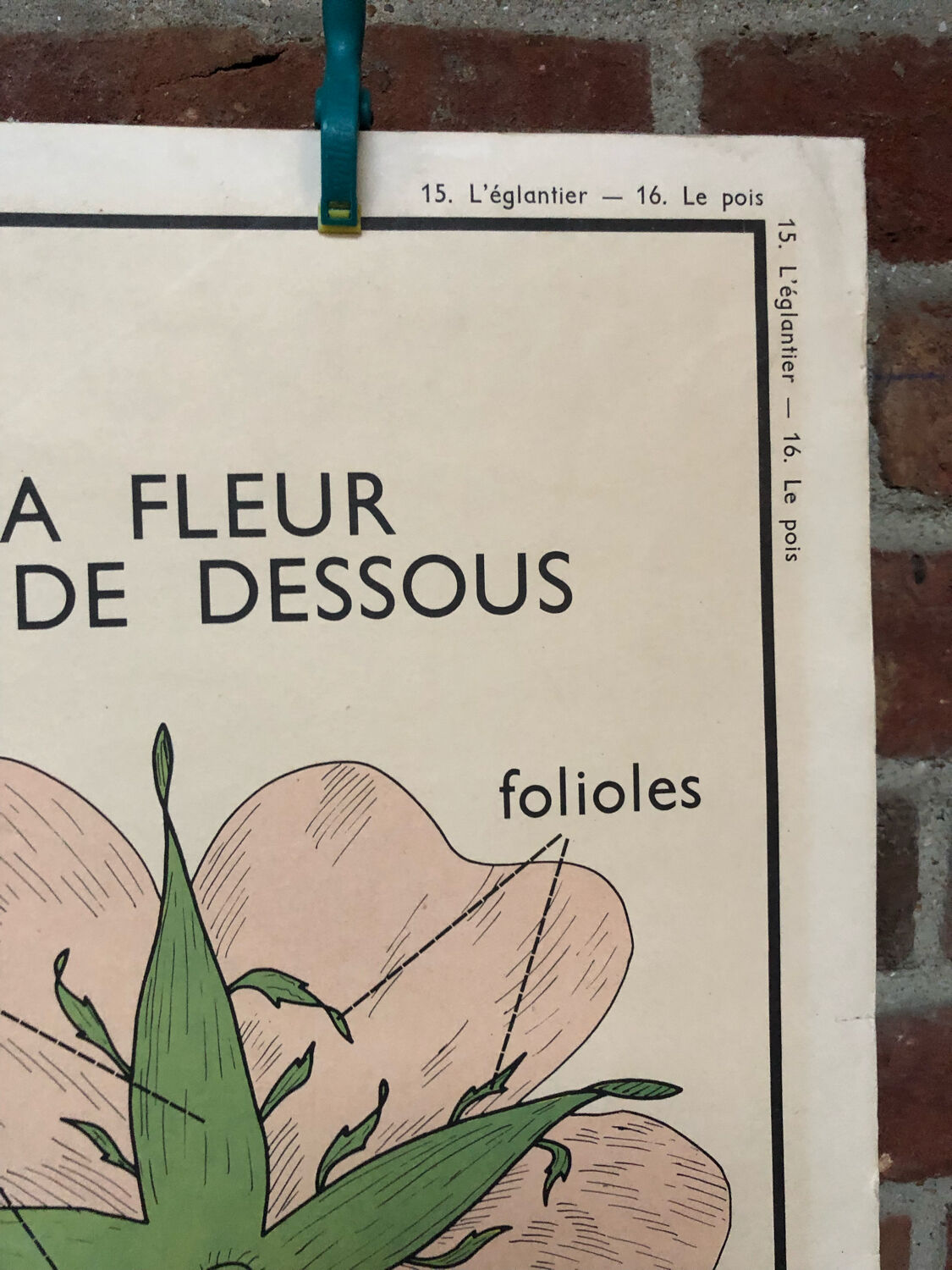 Old double-sided Rossignol school poster