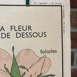 Old double-sided Rossignol school poster