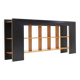 Vintage sideboard by Roberto Pamio and Renato Toso 1972 Italy