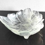 Opalescent empty pocket