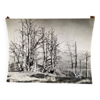 Analog photography by Bernard Darot, Skeletons Club of Nantes