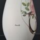 Ceramic vase by Cianciolo Noma, signed 1960