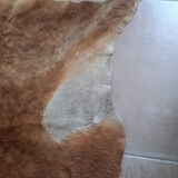 Cowhide carpet 230/190