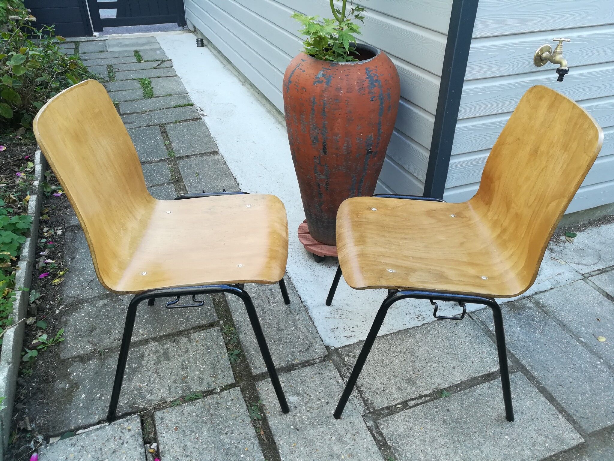 Set of 2 chairs 60