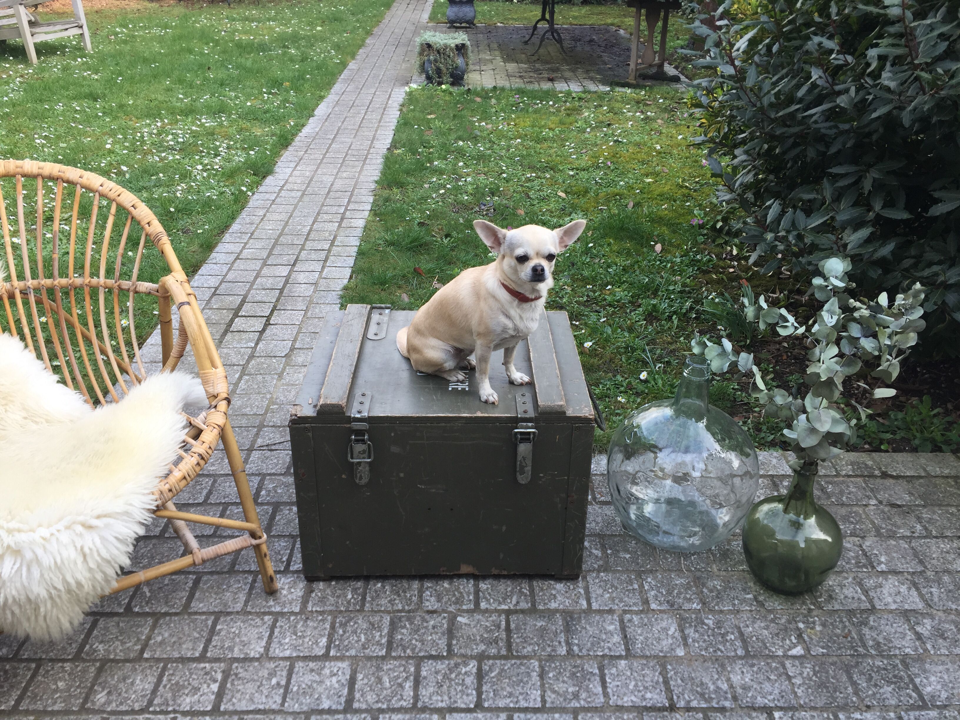 Old trunk or military chest