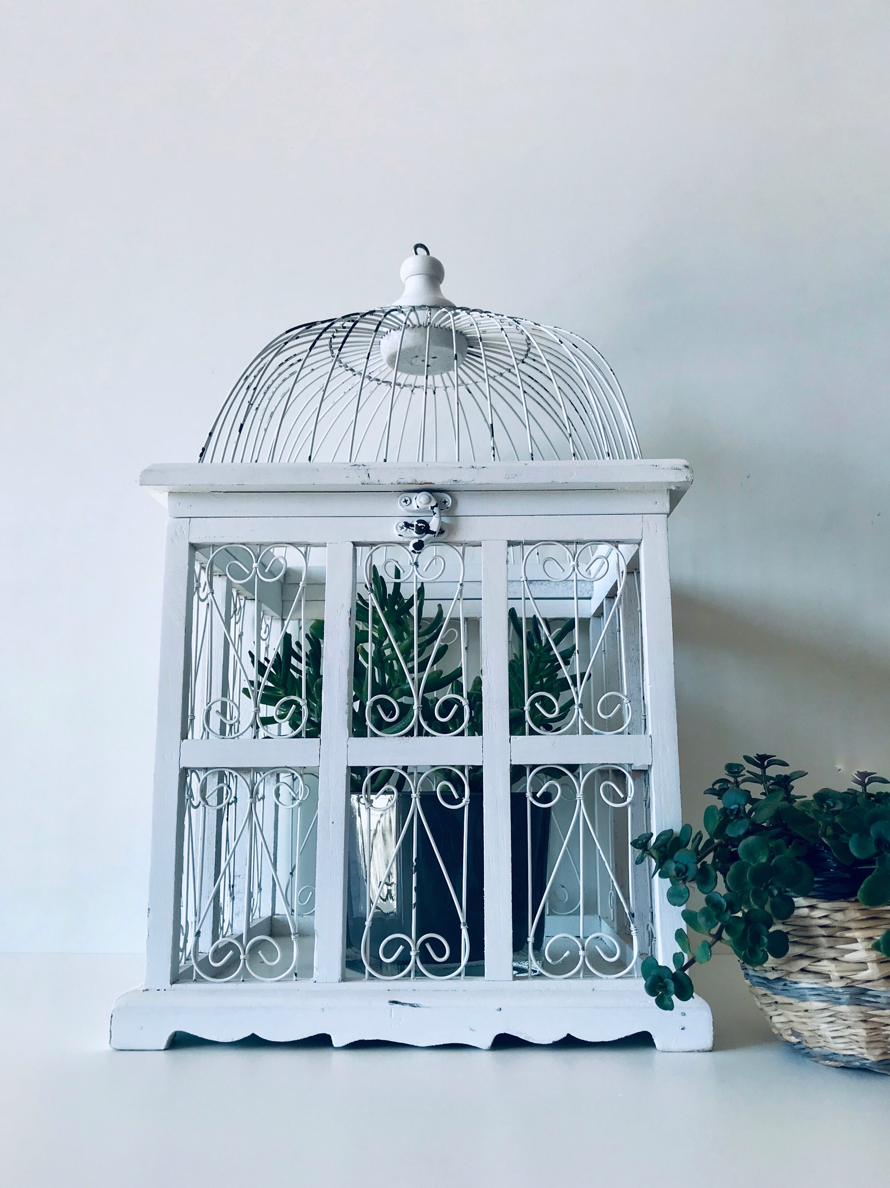 Cage à oiseaux blanche