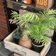 Old wooden box