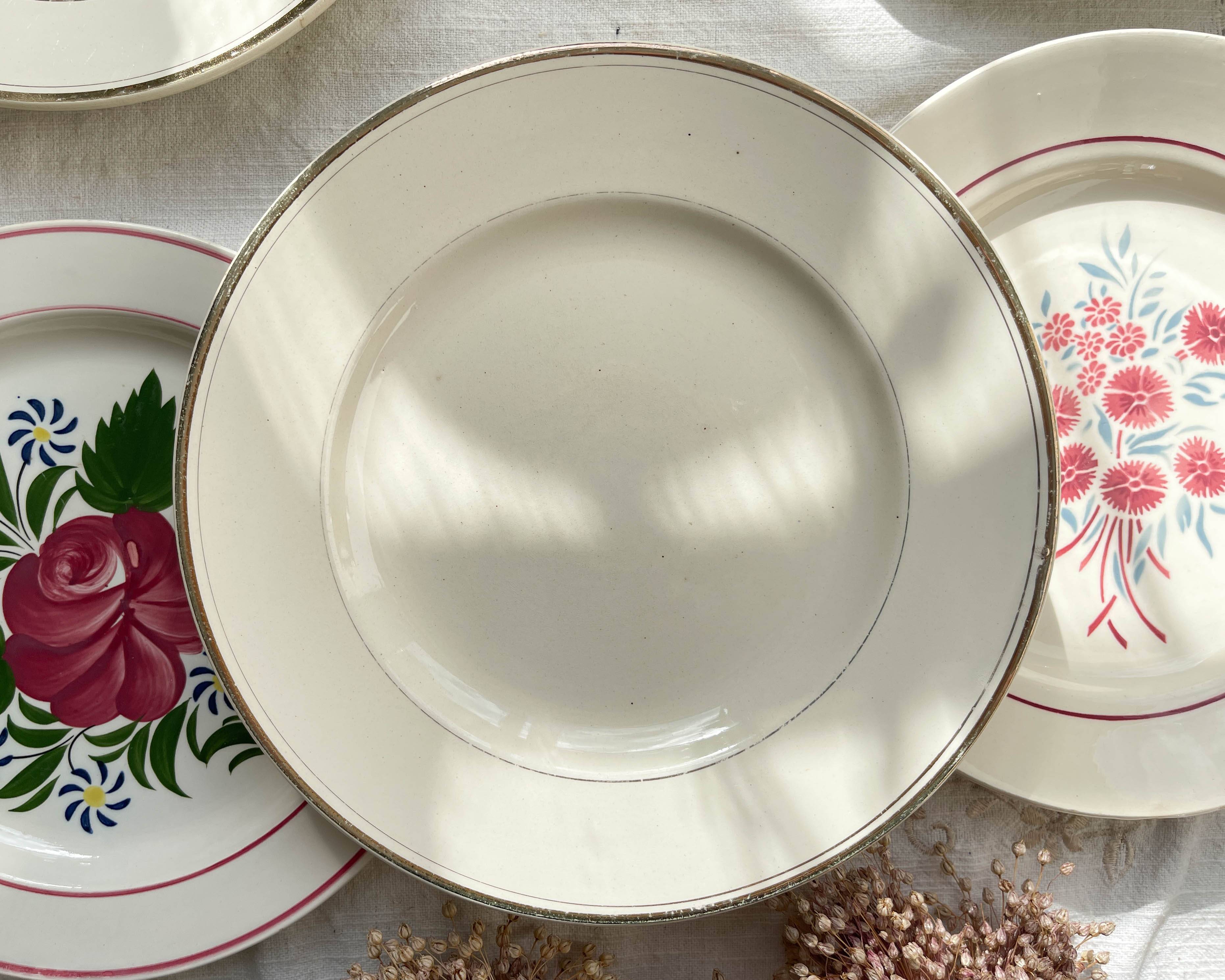 6 Mismatched Vintage Plates with Floral Pattern