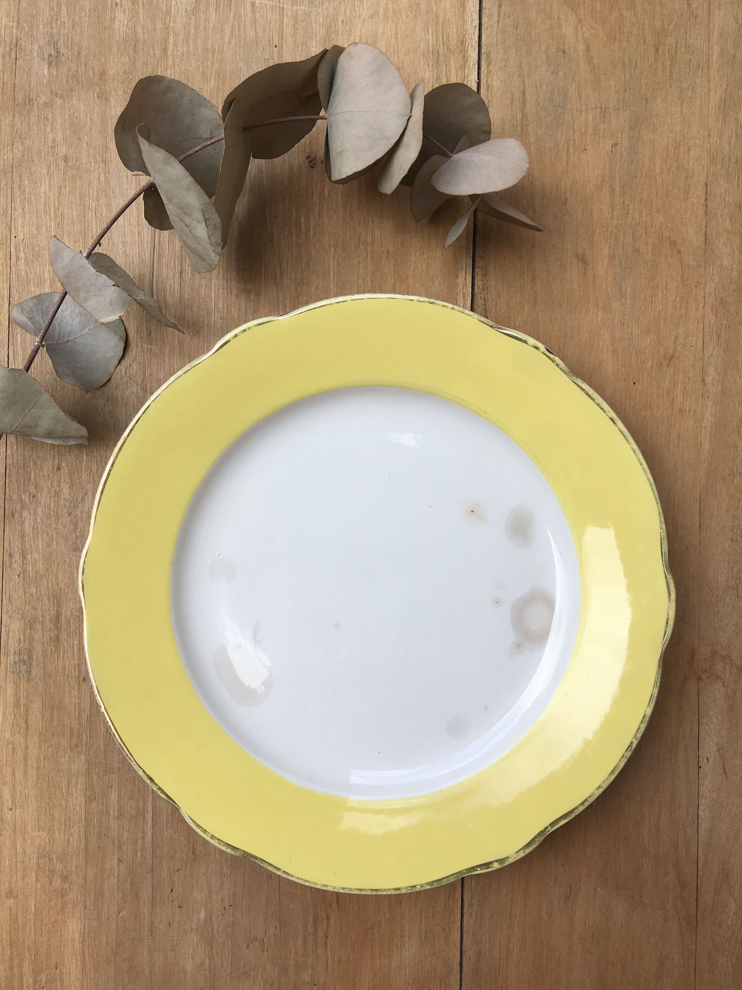 Yellow plates Lunéville