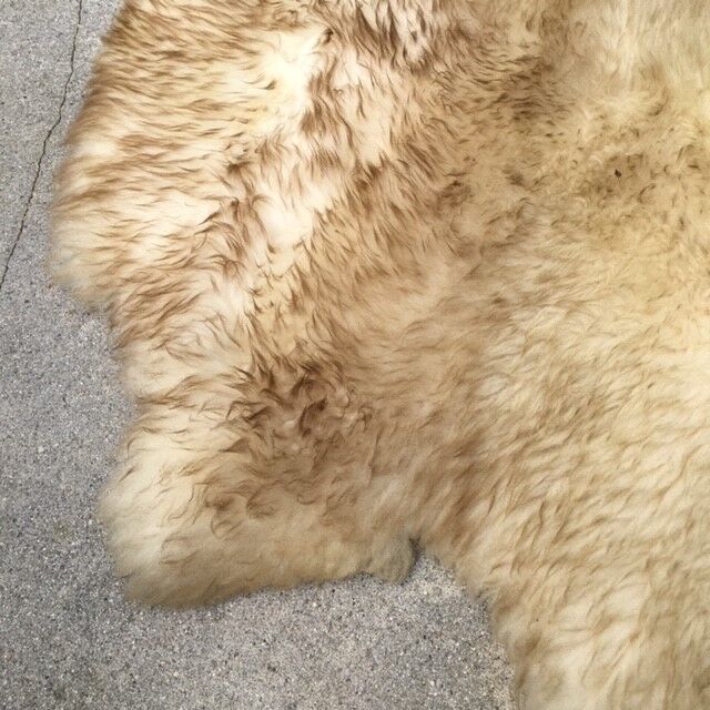 Two-coloured sheepskin