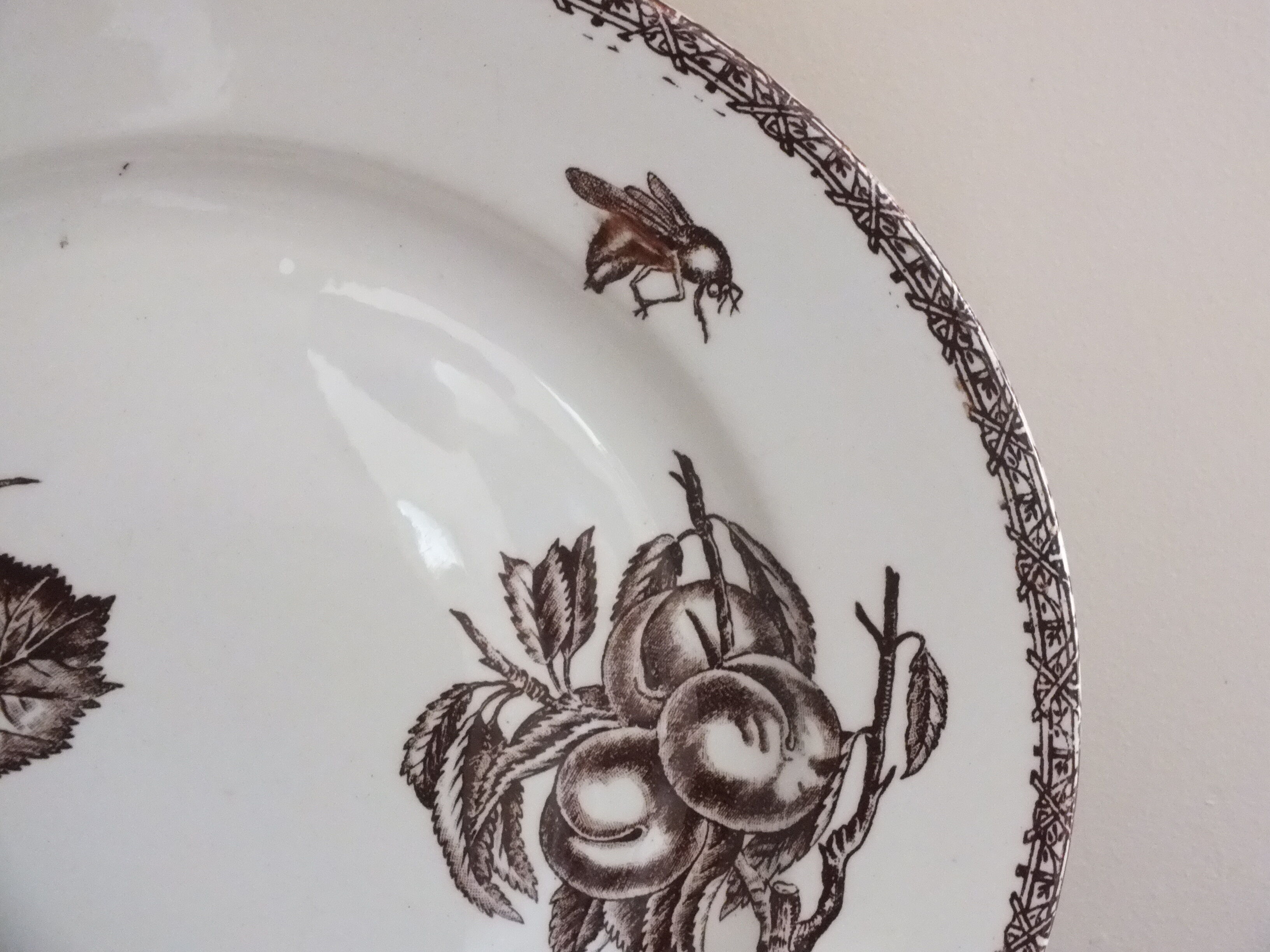 Round dish n°1 Choisy le Roi in Iron Earth decoration fruits and insects