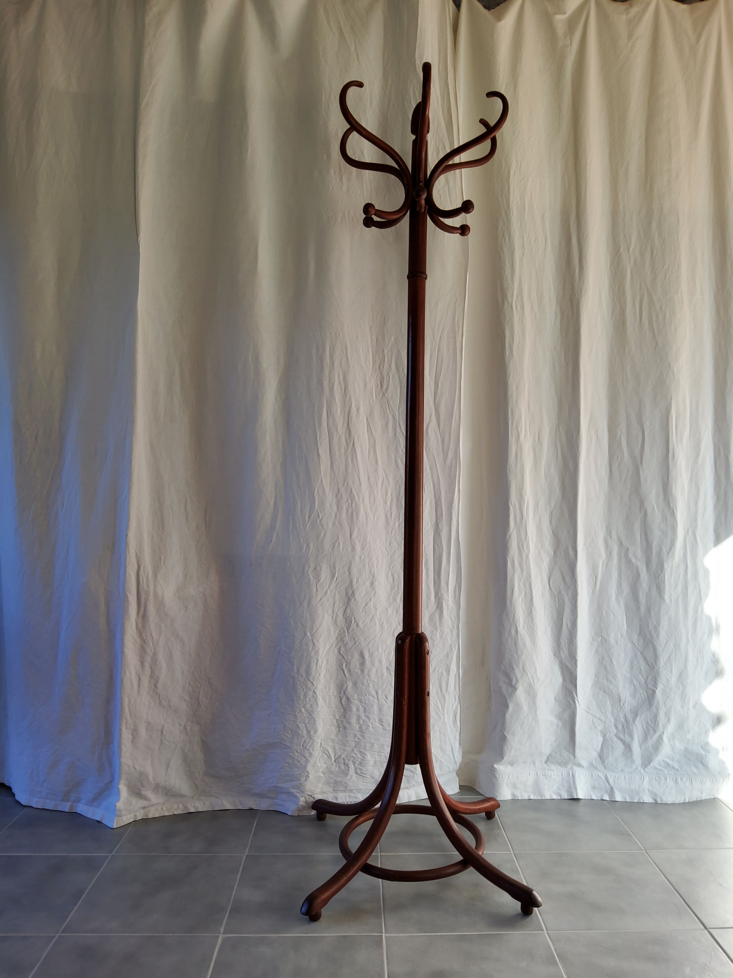 Ancient parrot coat rack