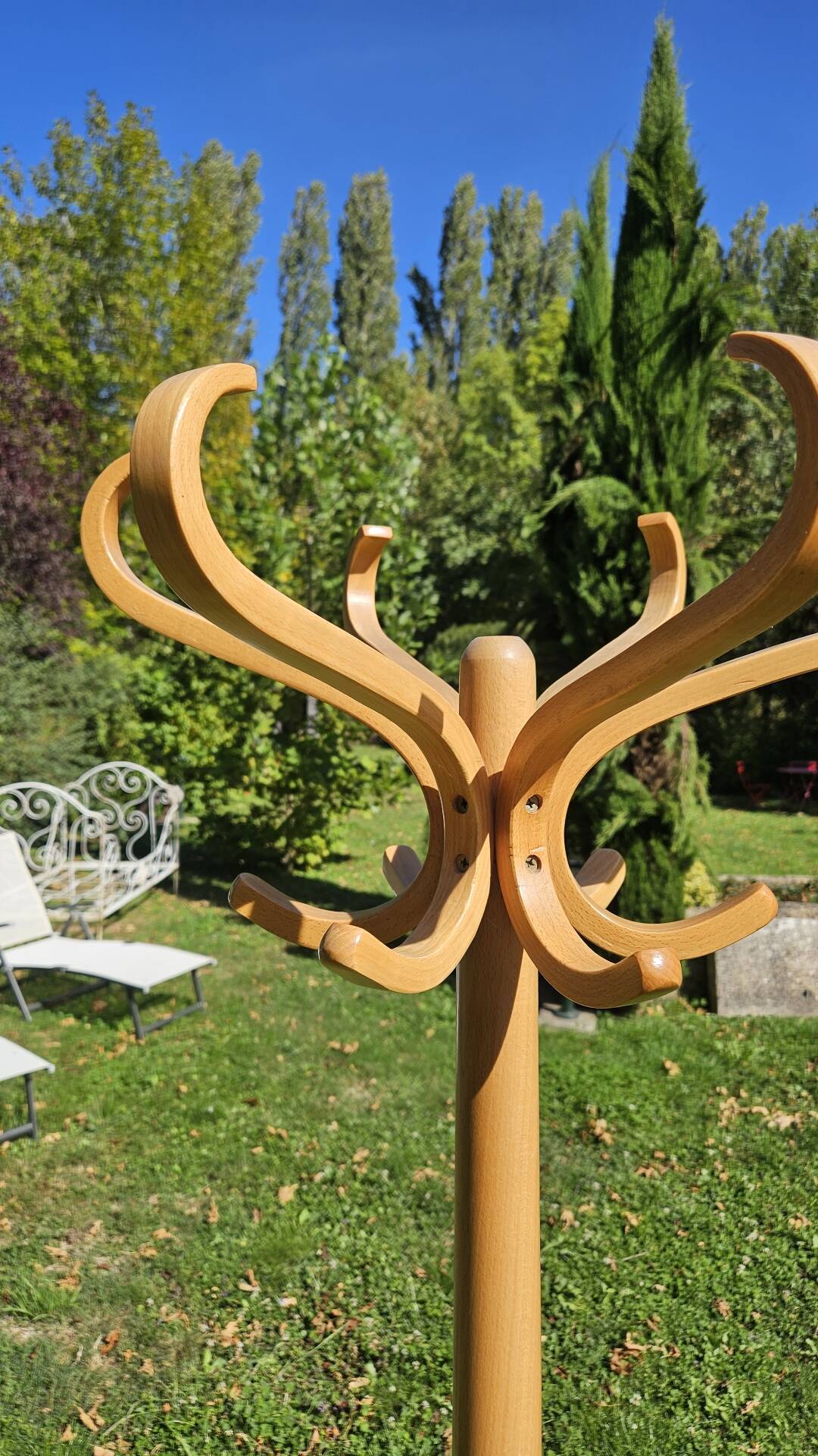 Porte manteau perroquet Baumann