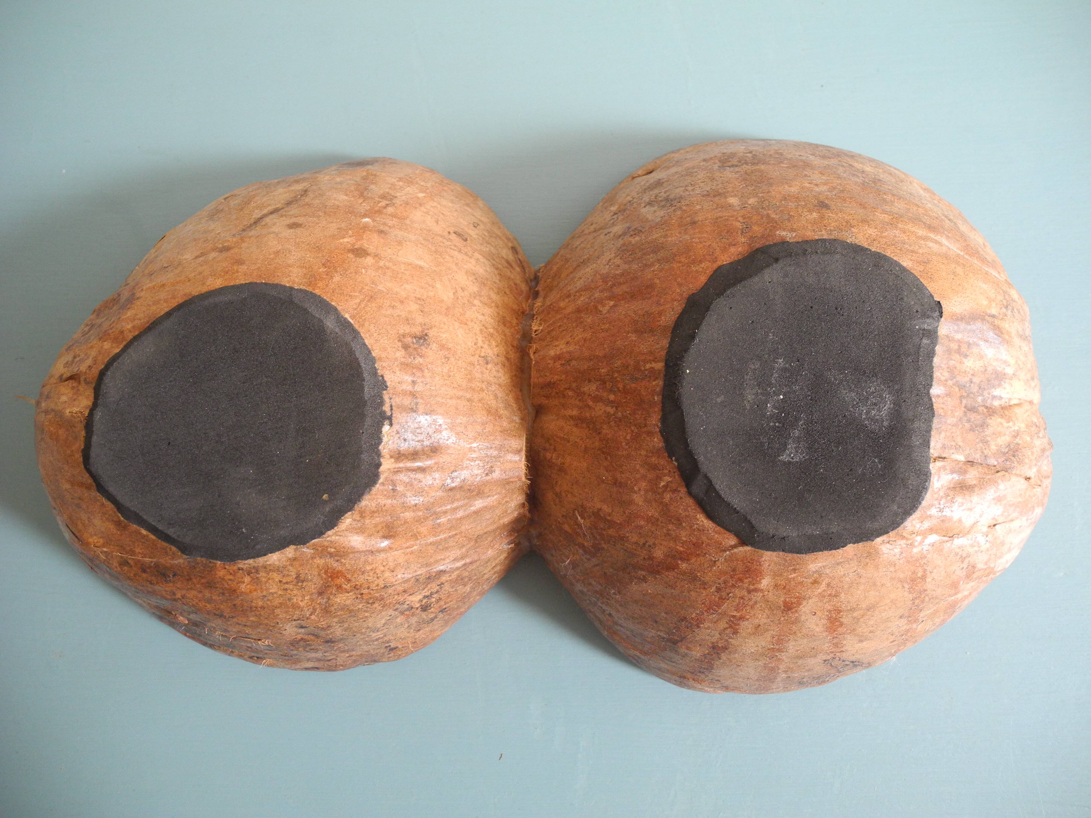 Old pocket tray coconut vintage decoration serving tray bowl