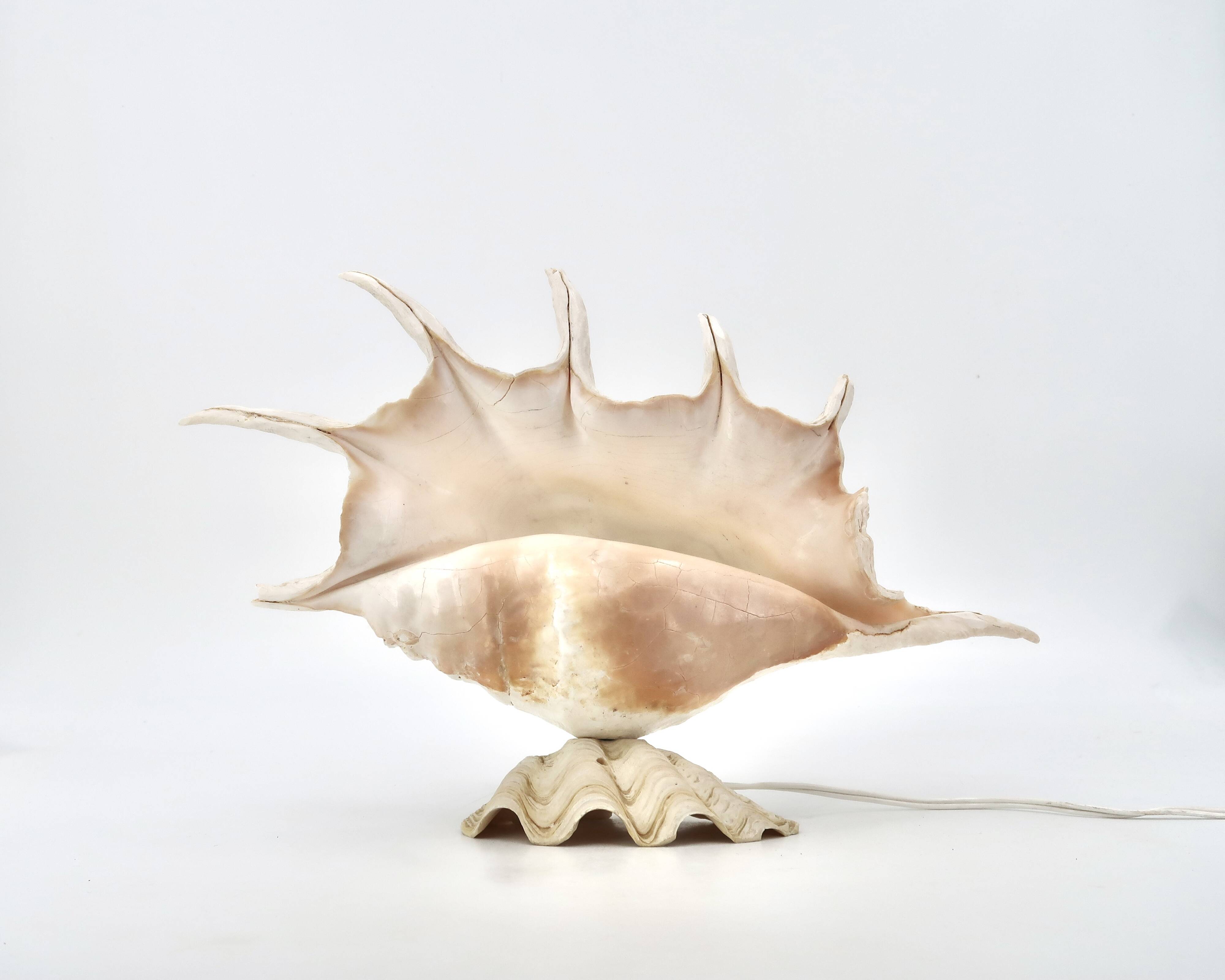 Accent lamp made of natural white shells, 1960s.