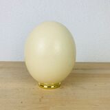 Golden ostrich egg object of curiosity