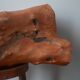 Large contemporary design handcrafted wooden vase