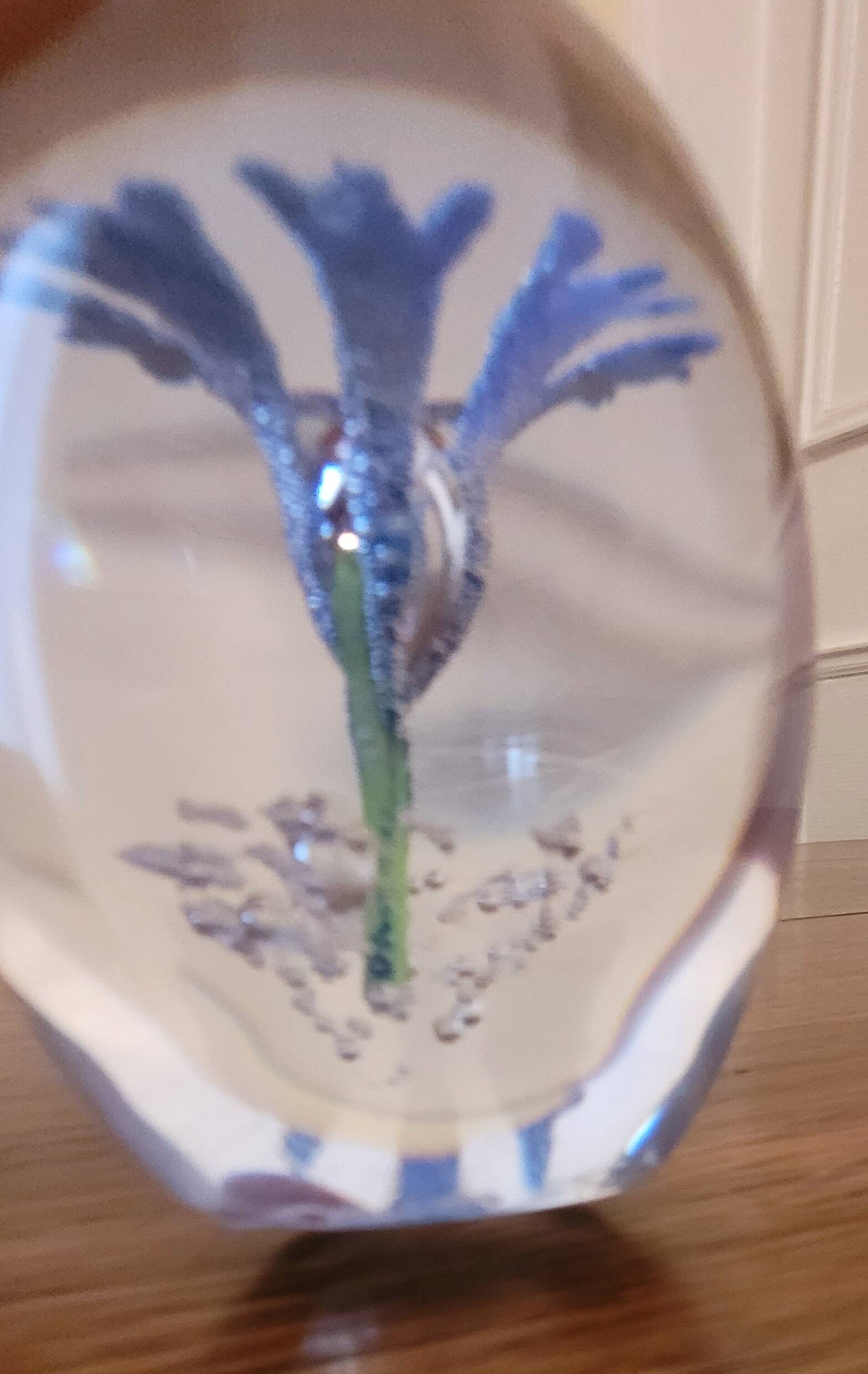 Paperweight in Daum France signed