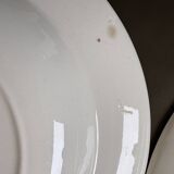 6 soup plates