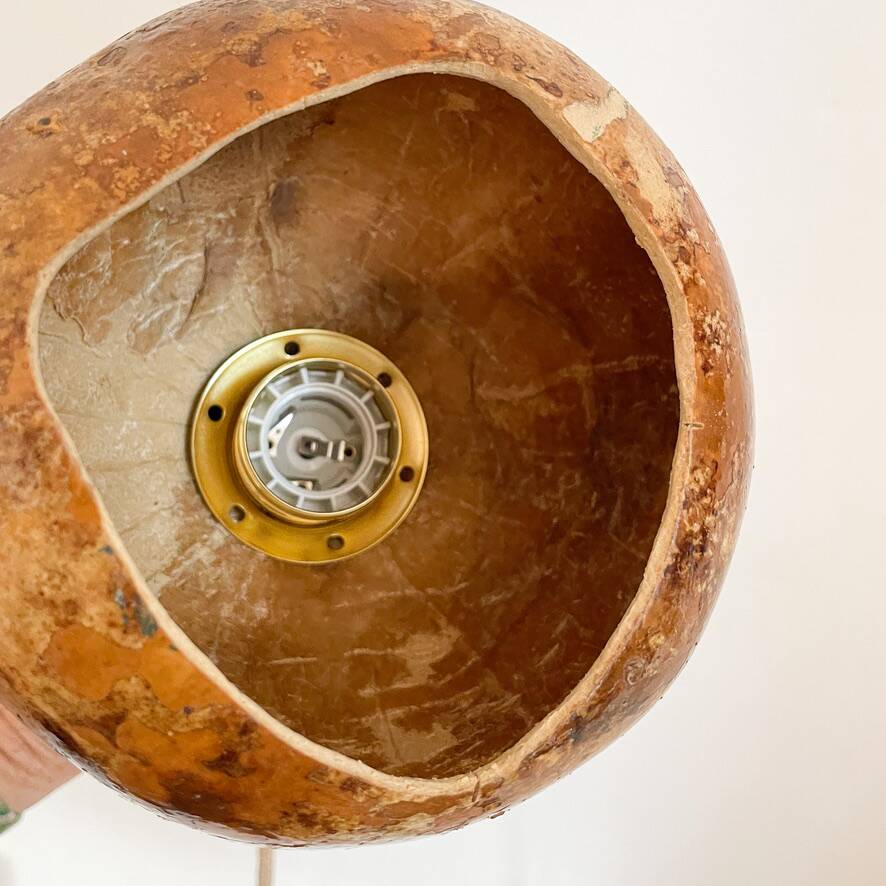 Calabash plant lamp