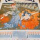 Affiche folies bergère